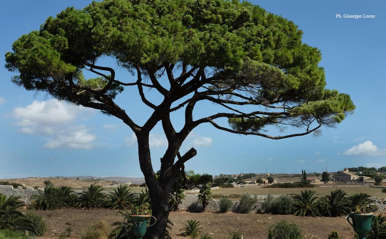 Castiglione 1863 - The Real Sicilian *
